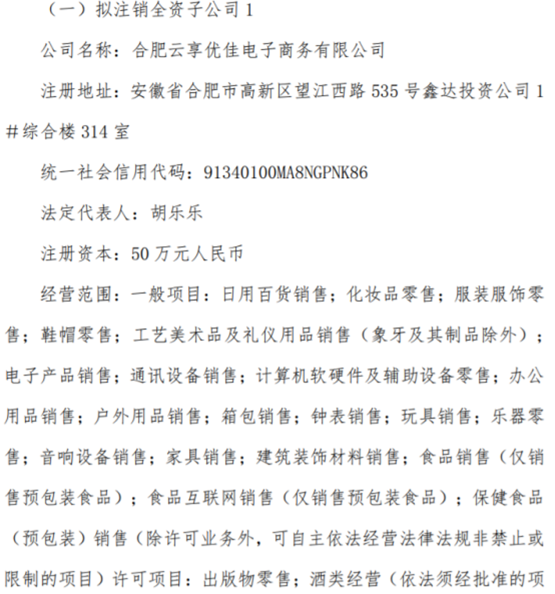 合肥电子商务个体户:时代的弄潮儿